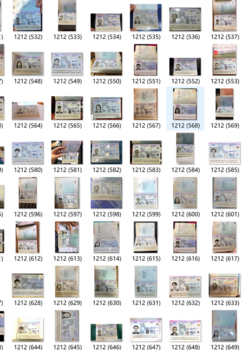 Thailand passports: 6600 copies