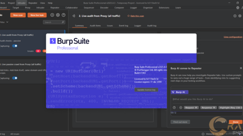 Burp Suite 2025.8.3 Professional