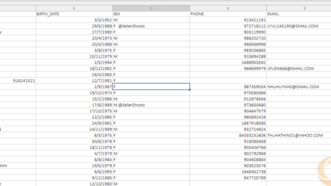 Database Vietnam Mobile Numbers With Info
