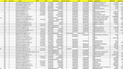 📄430k USA SSN FULLZ DATA BANK INFO DRIVING LICENSE AND MORE 🪪