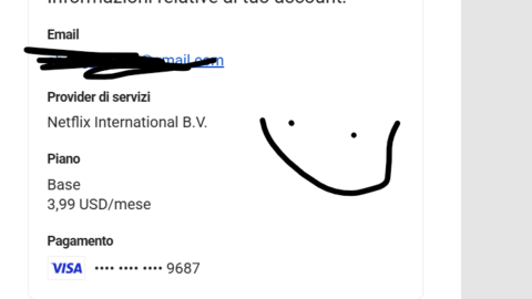 Bin For Netflix Wokred 100%