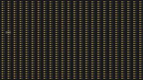 600000 usa DL+FRONT+BACK+SELFIE DATABASE