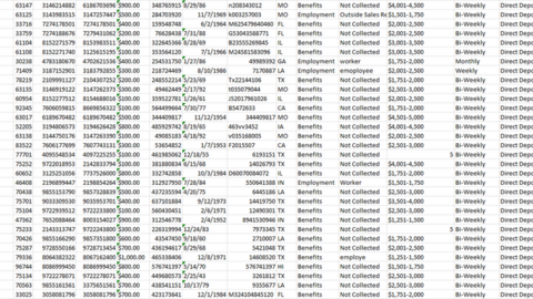 5.15 million fresh USA fullz ssn bank account Employment info