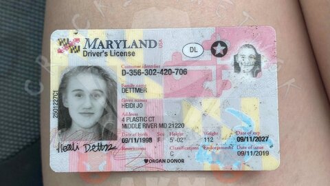 USA-DL x50 Sets | Front-Back-Selfie-SSN | & Address Etc.